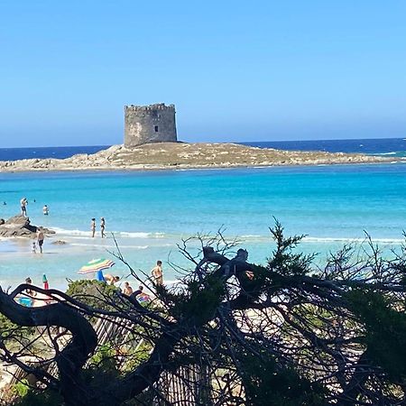 Pelosa - Capo Falcone Excellent Apartment ستينتينو المظهر الخارجي الصورة