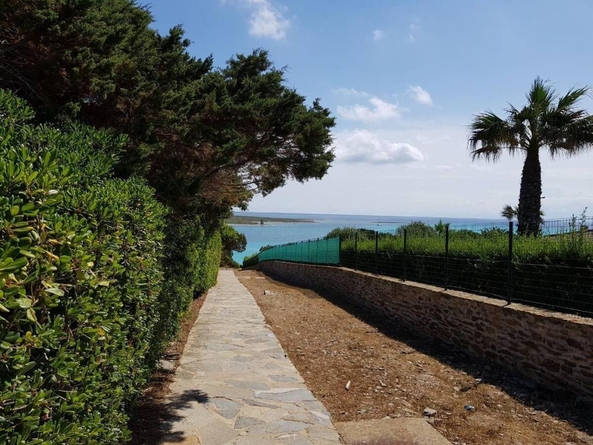 Pelosa - Capo Falcone Excellent Apartment ستينتينو المظهر الخارجي الصورة