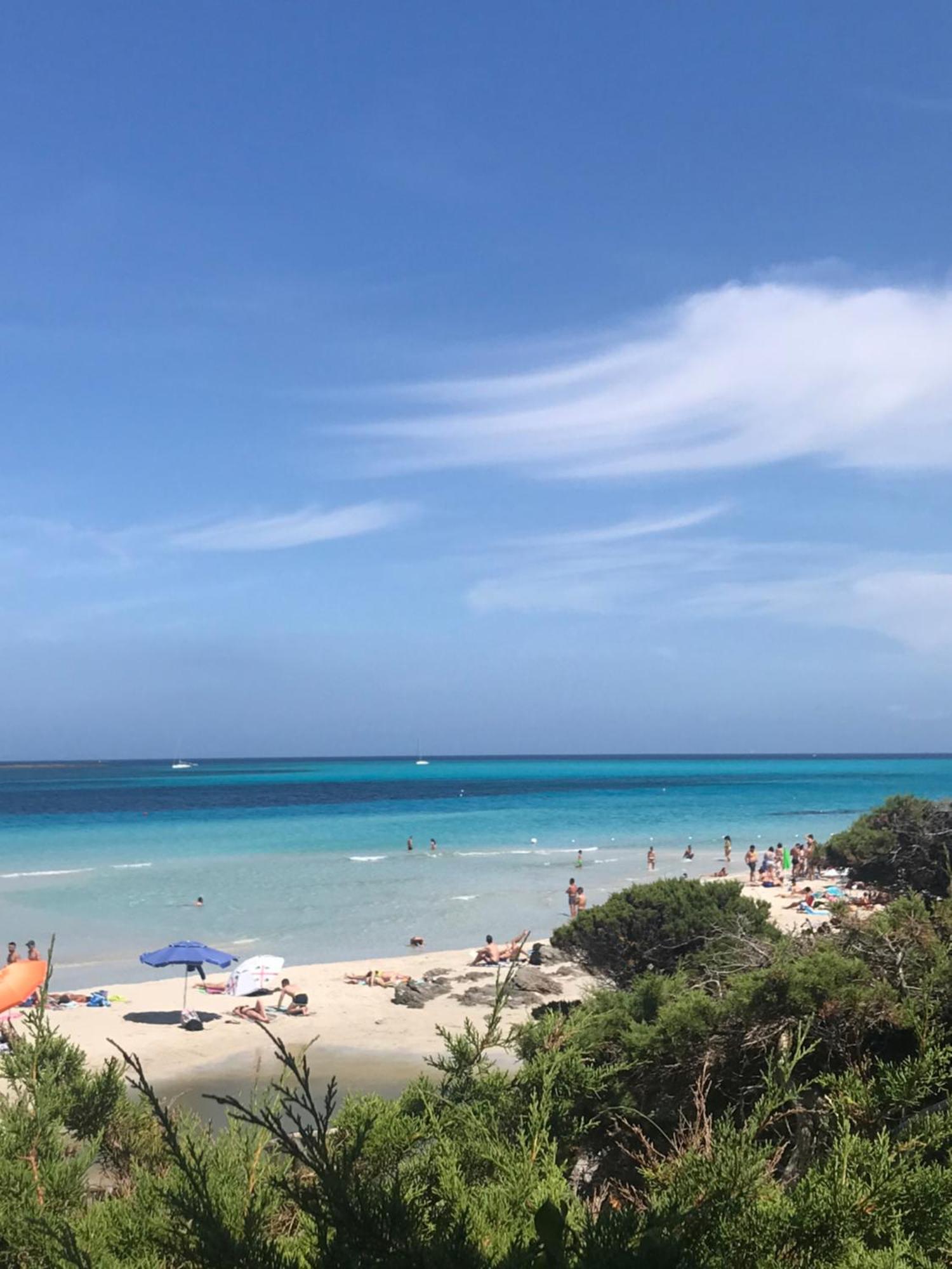Pelosa - Capo Falcone Excellent Apartment ستينتينو المظهر الخارجي الصورة
